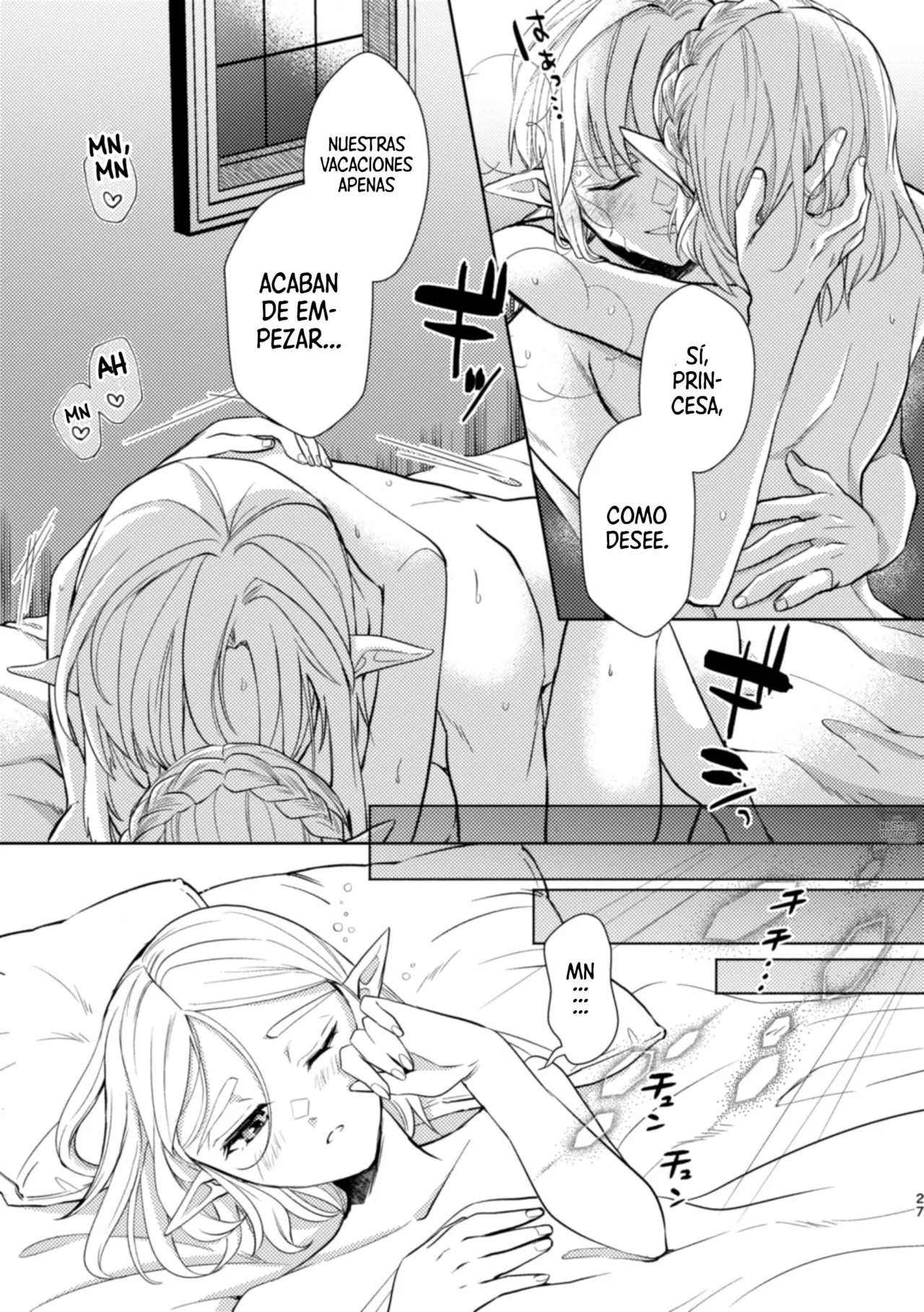 [Horete Mauu Yarou (Mauu)] Staycation! | ¡Vacaciones en casa! (The Legend of Zelda: Tears of the Kingdom) [Spanish] [Mister Nugget] [Digital] numero di immagine  26