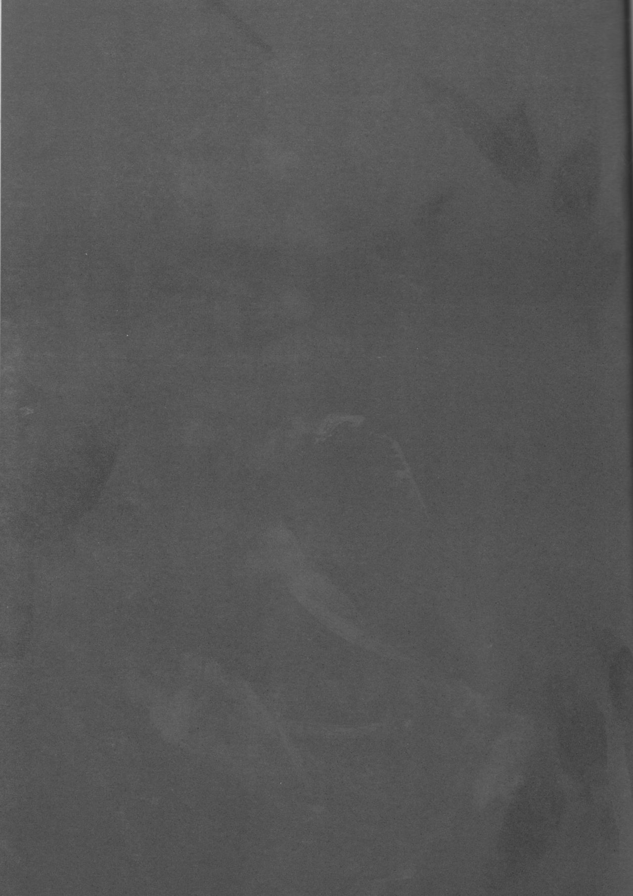 (SUPER14) [ORANGE HONEY (Ibuki You)] Enrai (Bleach) 25eme image