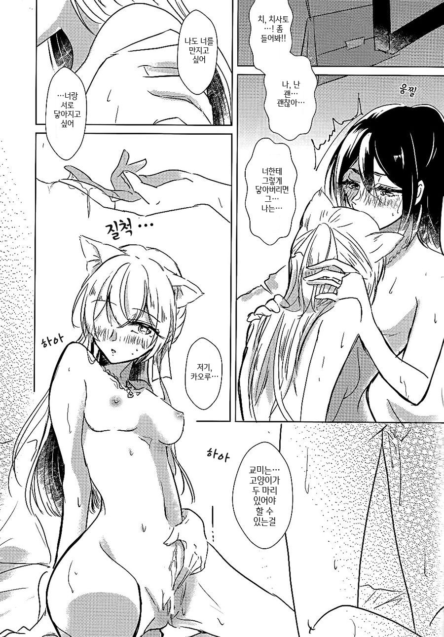 (BanG Dreamer's Party! 9th STAGE) [Minudorikan (Minu)] Neko Shibai | Cat play (BanG Dream!) [Korean] imagen número 30