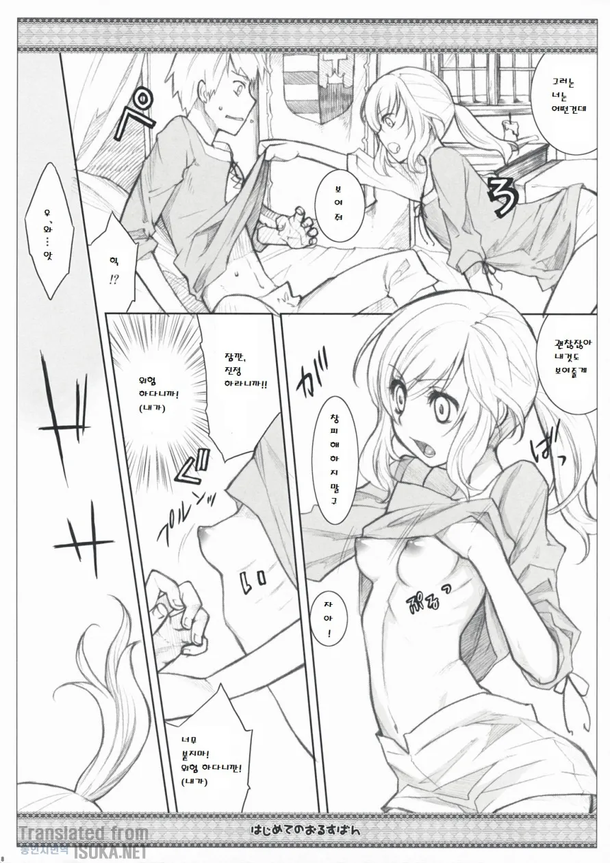 (C76) [VM500 (Kome)] Hajimete no Orosuban (Axis Powers Hetalia) [korean] image number 8