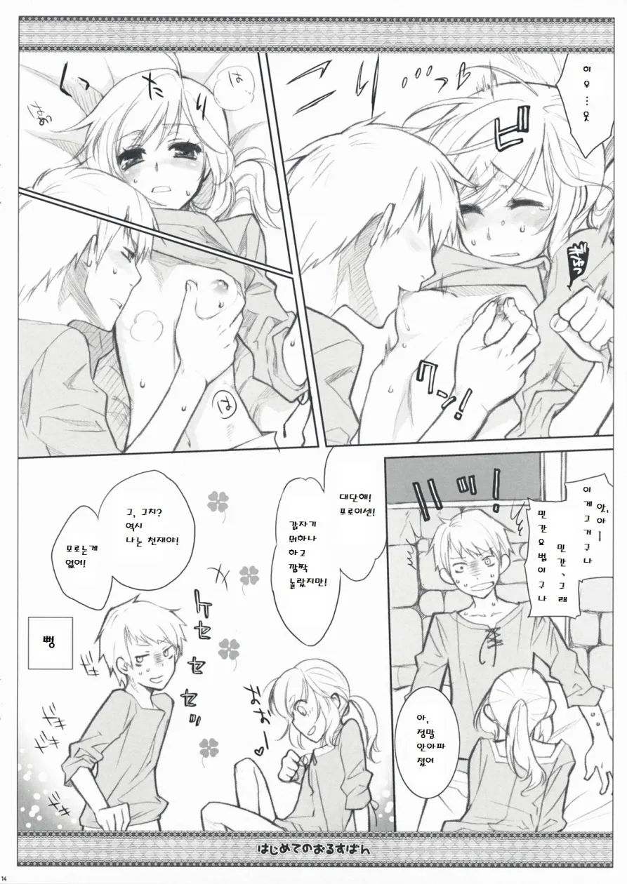 (C76) [VM500 (Kome)] Hajimete no Orosuban (Axis Powers Hetalia) [korean] image number 14