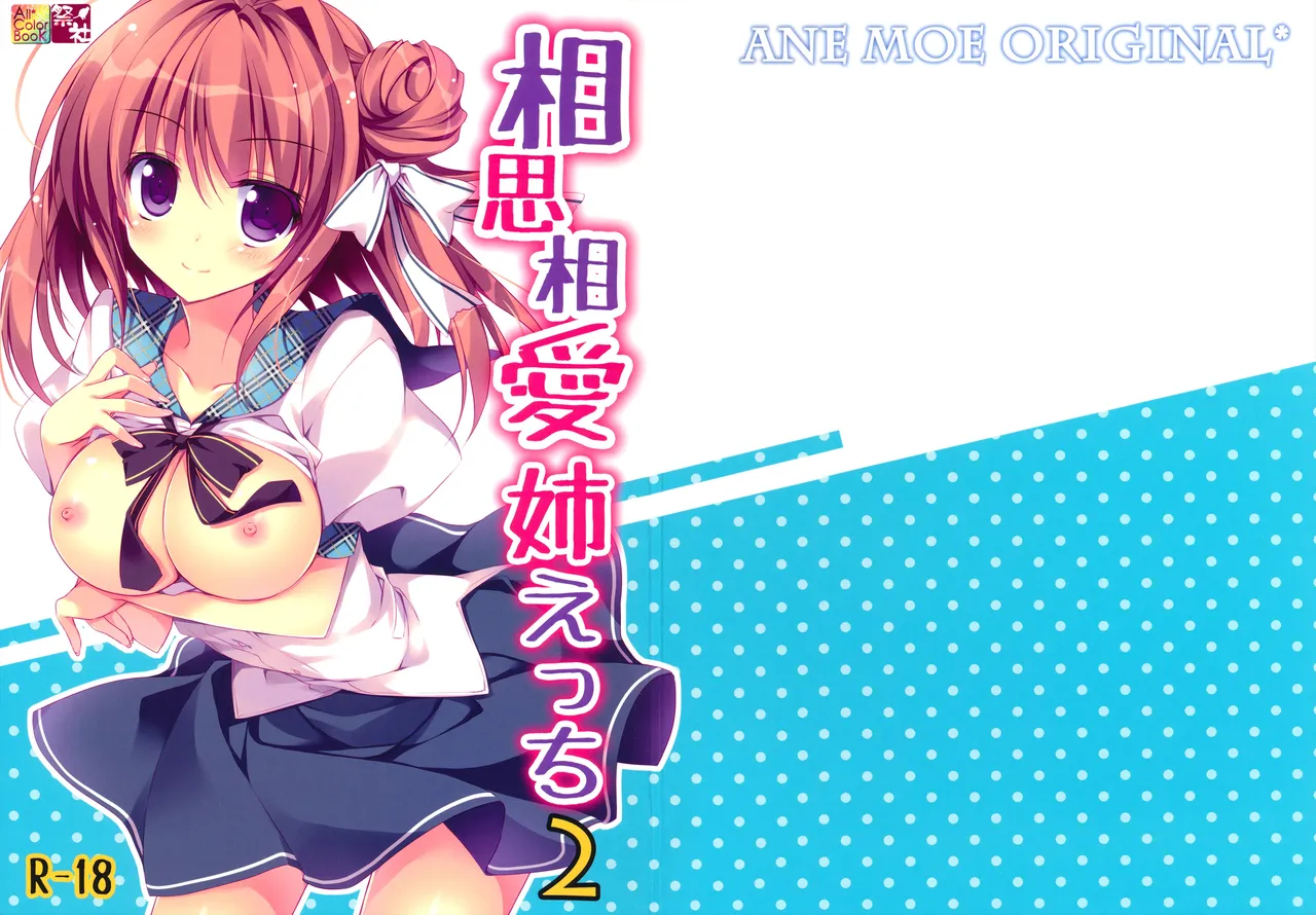 (C84) [Matsurija (Nanaroba Hana)] Soushisouai Ane Ecchi 2 [French] {SAXtrad} 图片编号 2