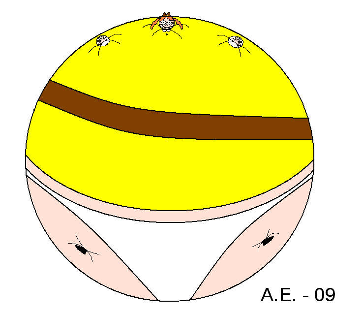 Artist: ZigZag123 Bildnummer 74