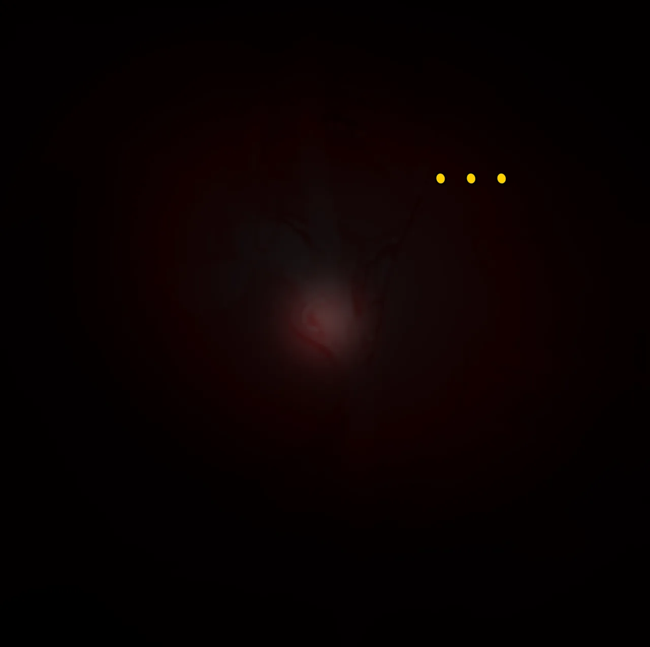 [JacketFreak] Becoming a RUBBER PIG（有条色狼汉化） 图片编号 109