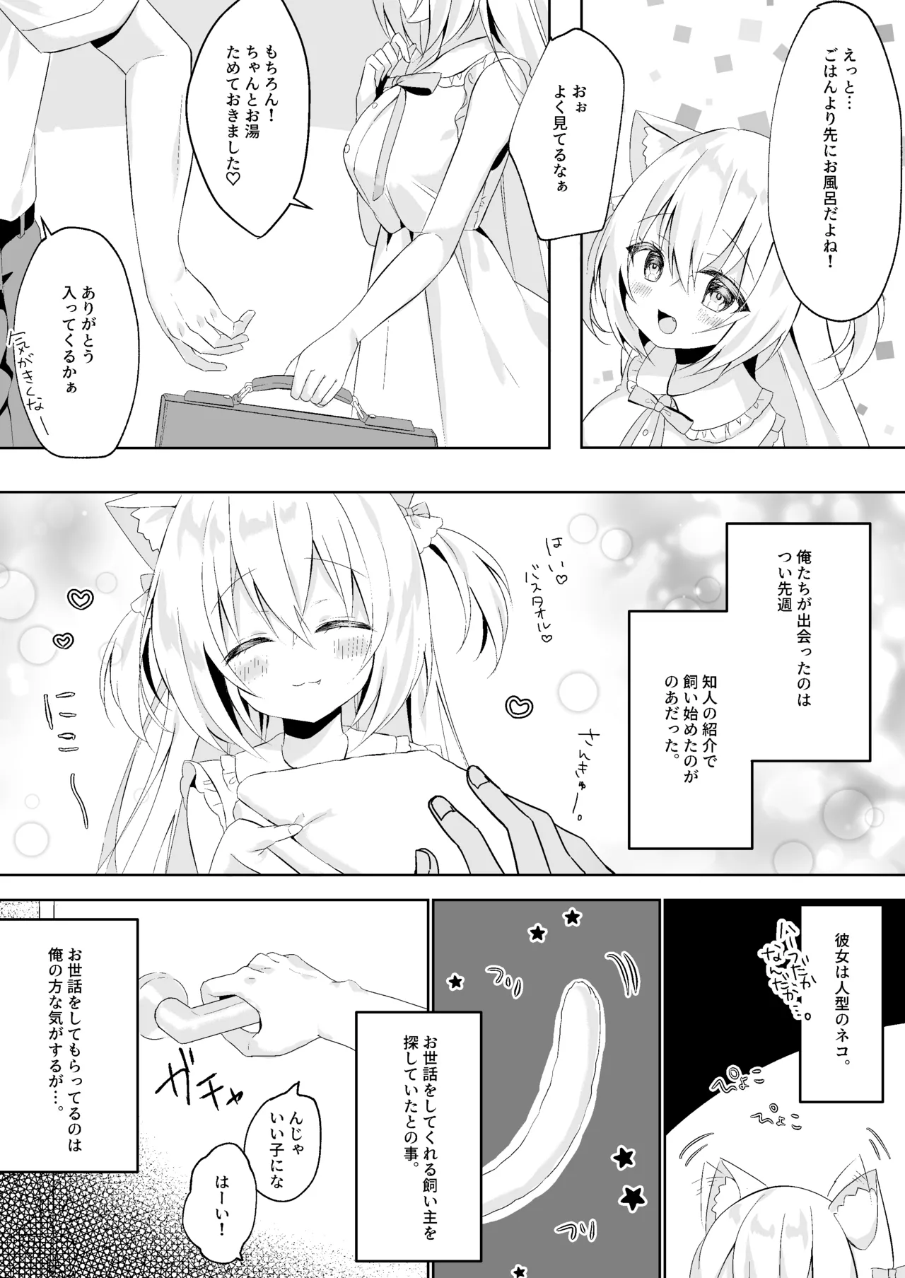 (C101) [ももちあ教 (桃稚ちあ)] 発情ネコのお世話の仕方1〜2総集編 [DL版] image number 3