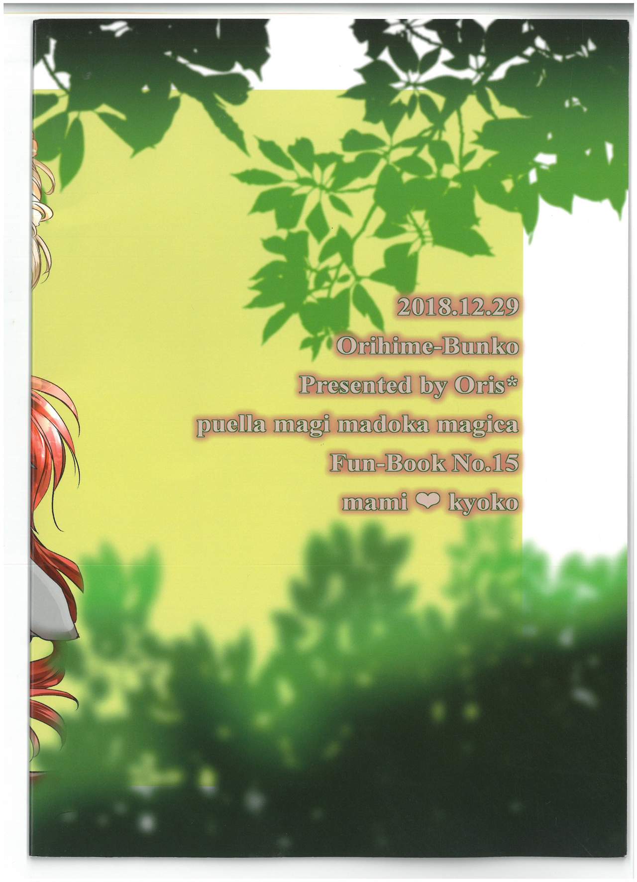 (C95) [Orihime-Bunko (Oris)] Rakuen no Tea Time (Puella Magi Madoka Magica) [Chinese] image number 2