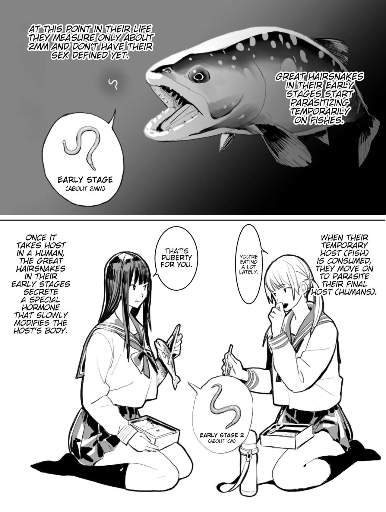 [Velzhe] Oohariganemushi No Seitai | The Great Hairsnake [English] [Kinsei Translations] изображение № 2