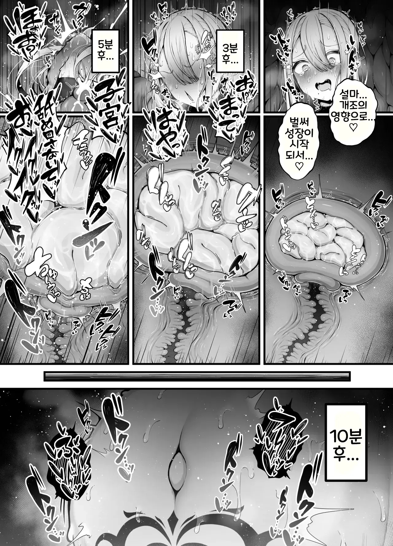 [Bonnouji Yura] Shosen wa Seishoku Honnou Dake no Katou Sebutsu desu ne [Korean] 图片编号 42