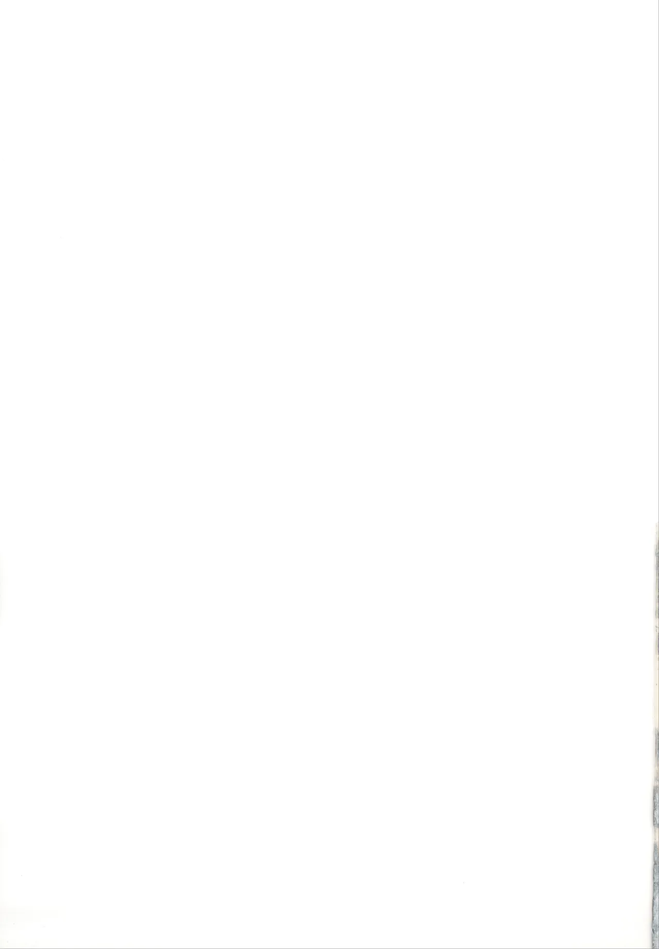 (C101) [Avalanche EX (Abarai)] Mami-san dake Haete nai Series (Puella Magi Madoka Magica) [Chinese] 图片编号 28