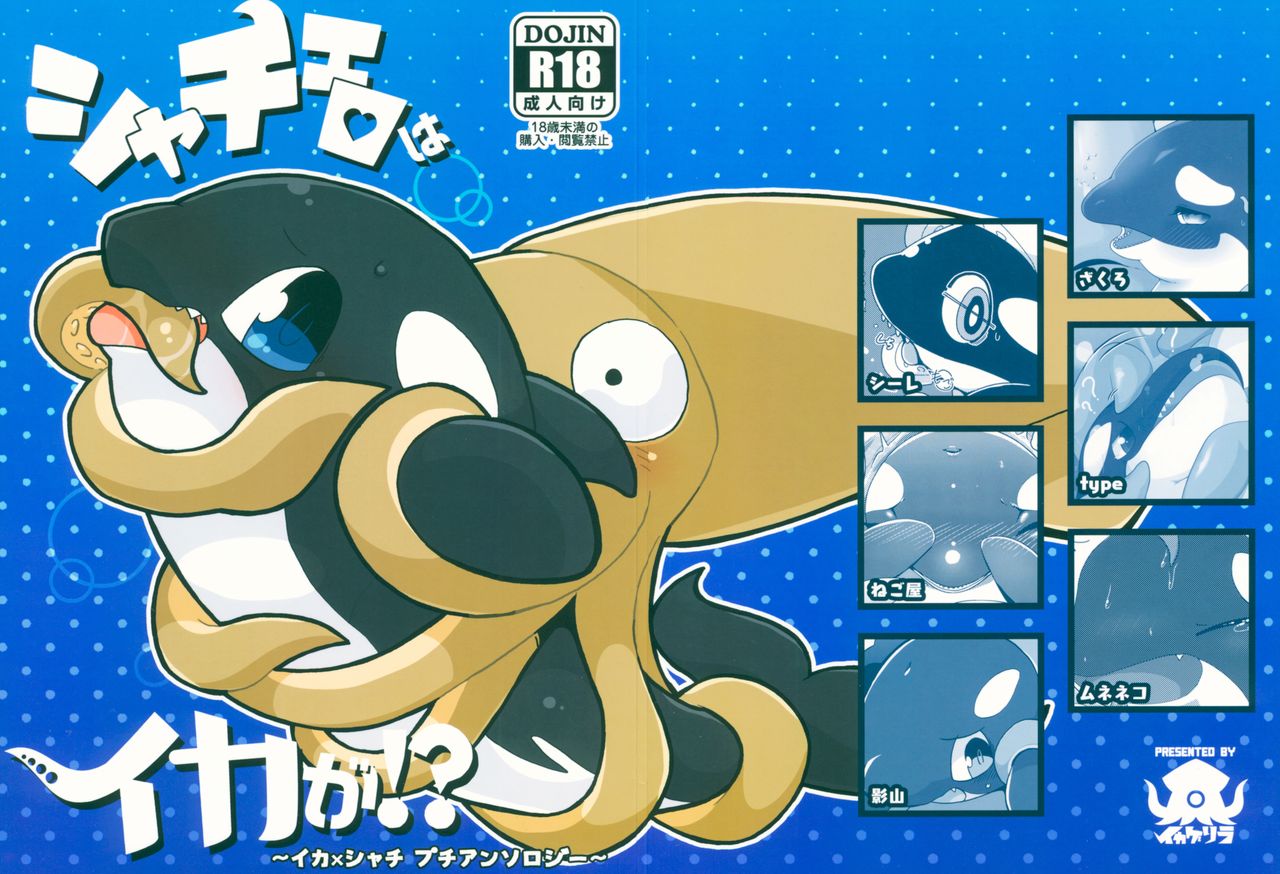 (C94) [Ika Guerrilla (Kageyama)] Shachi Ero wa Ikaga!? 2eme image