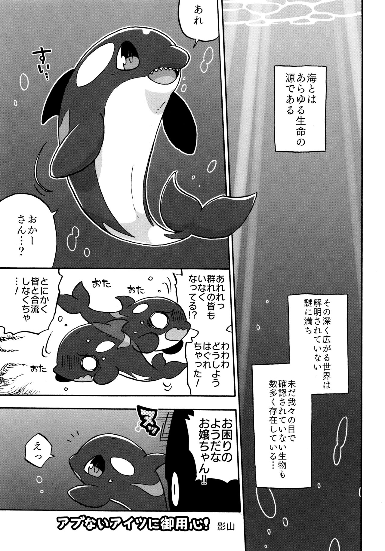 (C94) [Ika Guerrilla (Kageyama)] Shachi Ero wa Ikaga!? 5eme image