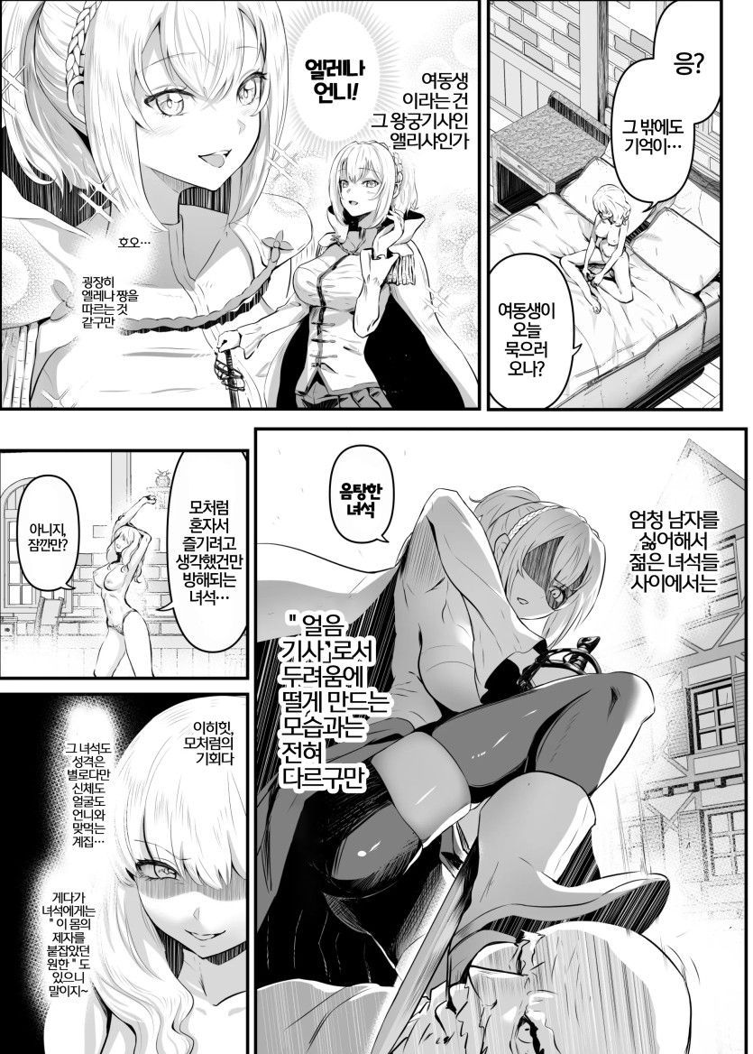 [Hyoui Lover (Hyoui Suki no Hito, Mishima Psycho)] Utsukushiki Isekai 3 Shimai no Hyouiroku 이미지 번호 13