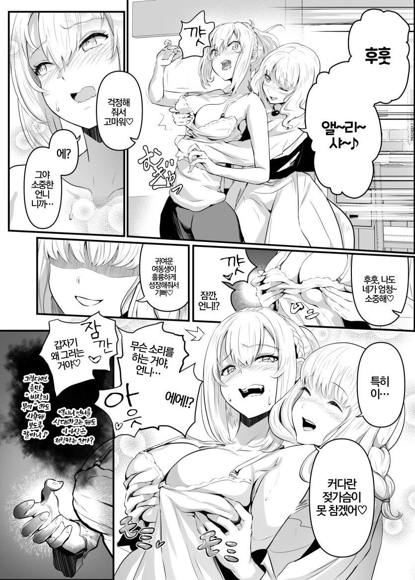 [Hyoui Lover (Hyoui Suki no Hito, Mishima Psycho)] Utsukushiki Isekai 3 Shimai no Hyouiroku 이미지 번호 17