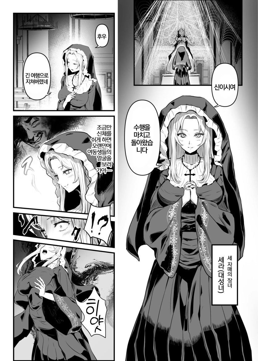 [Hyoui Lover (Hyoui Suki no Hito, Mishima Psycho)] Utsukushiki Isekai 3 Shimai no Hyouiroku 이미지 번호 28