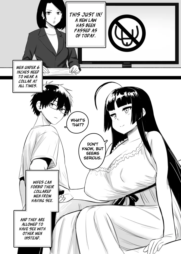 Penis Length Law by Shybox 画像番号 2