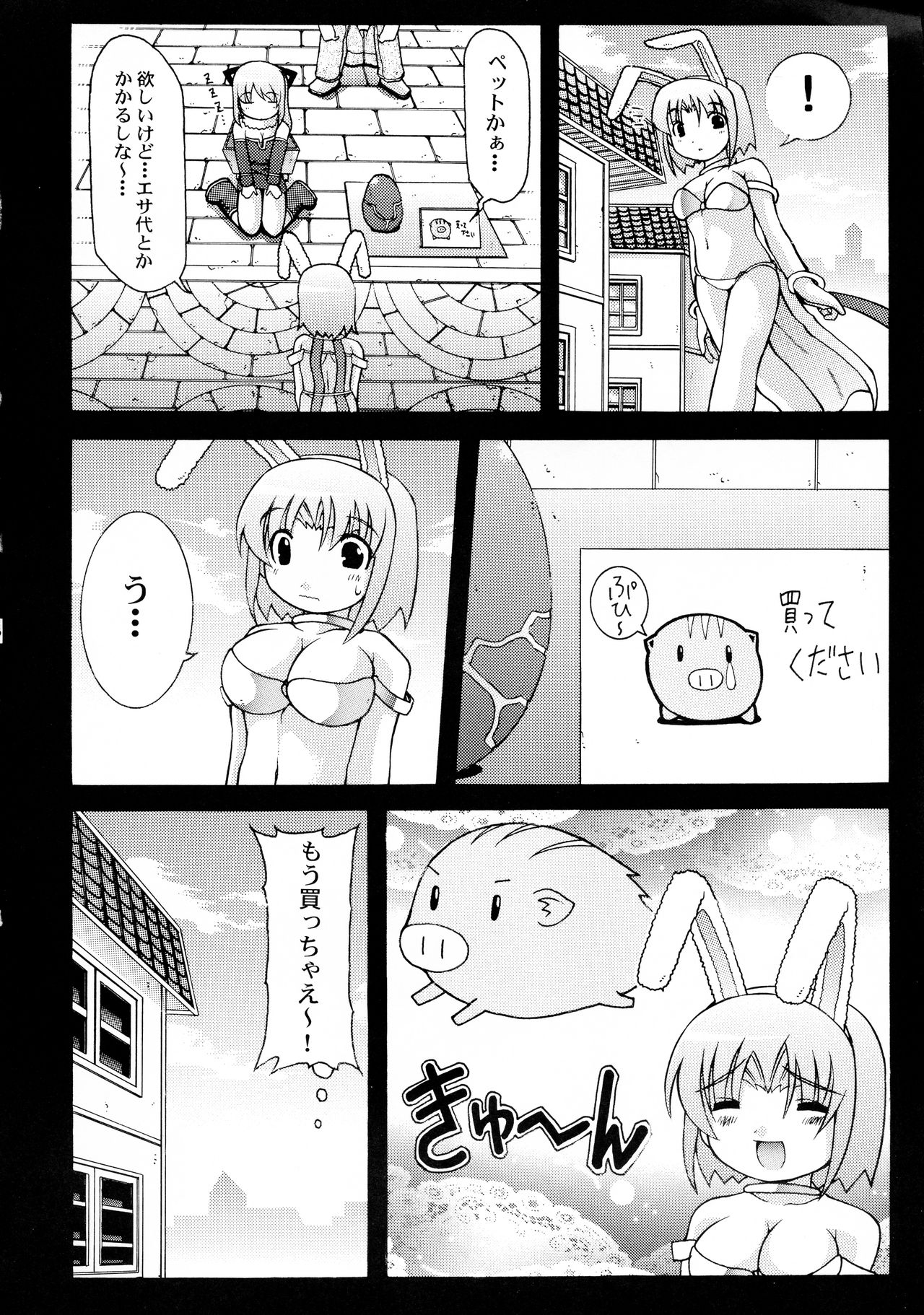 (CR36) [Abarenbow Tengu (Daitengu Iori, Izumi Yuujiro)] Boss and me (Ragnarok Online) 画像番号 6