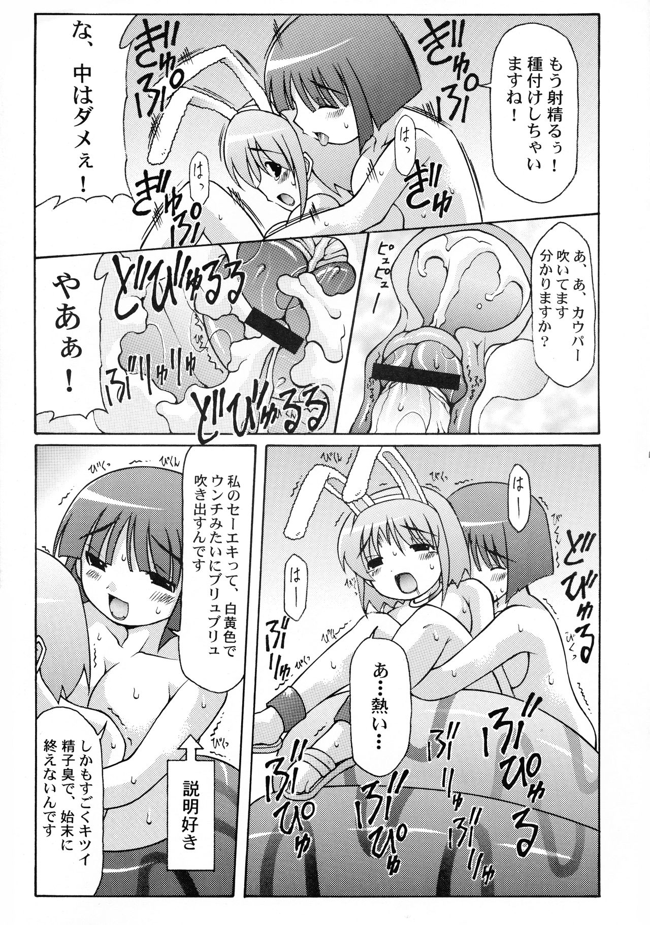 (CR36) [Abarenbow Tengu (Daitengu Iori, Izumi Yuujiro)] Boss and me (Ragnarok Online) 画像番号 13