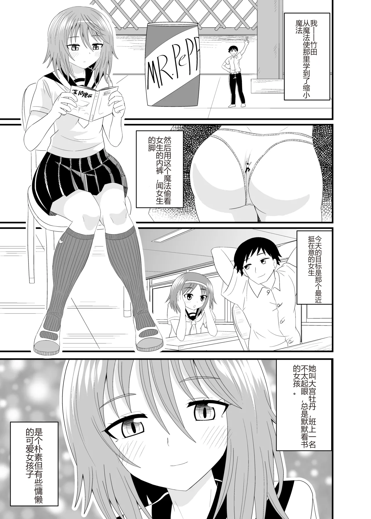 [Shivharu] Hentai soffi (Chinses) image number 2