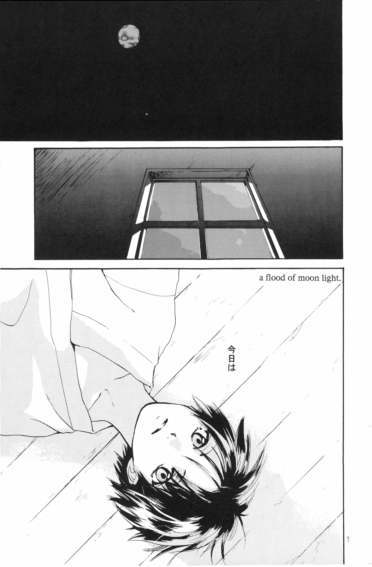 月光洪水 numero di immagine  6