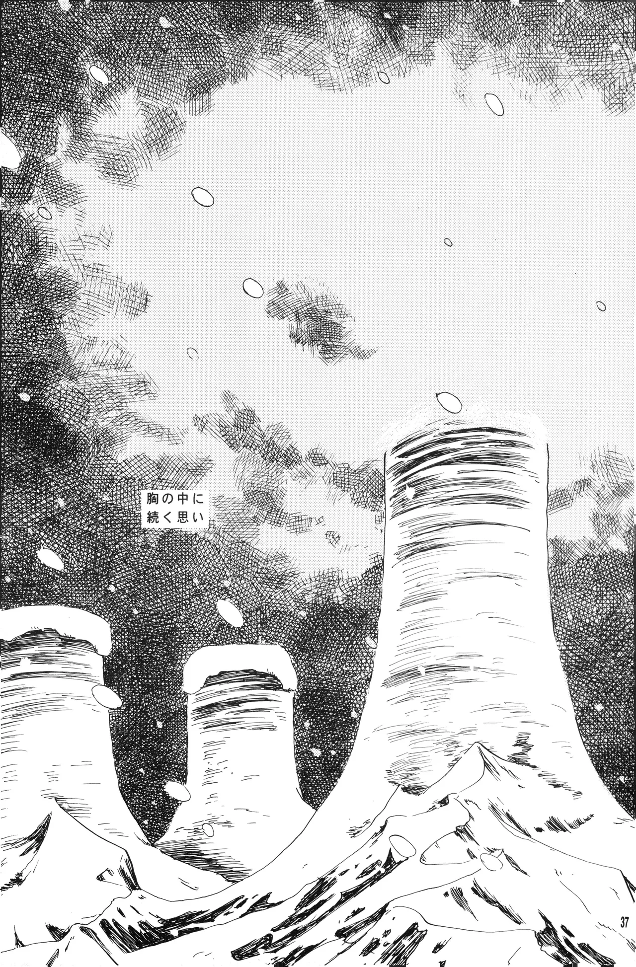 泥花 numero di immagine  36