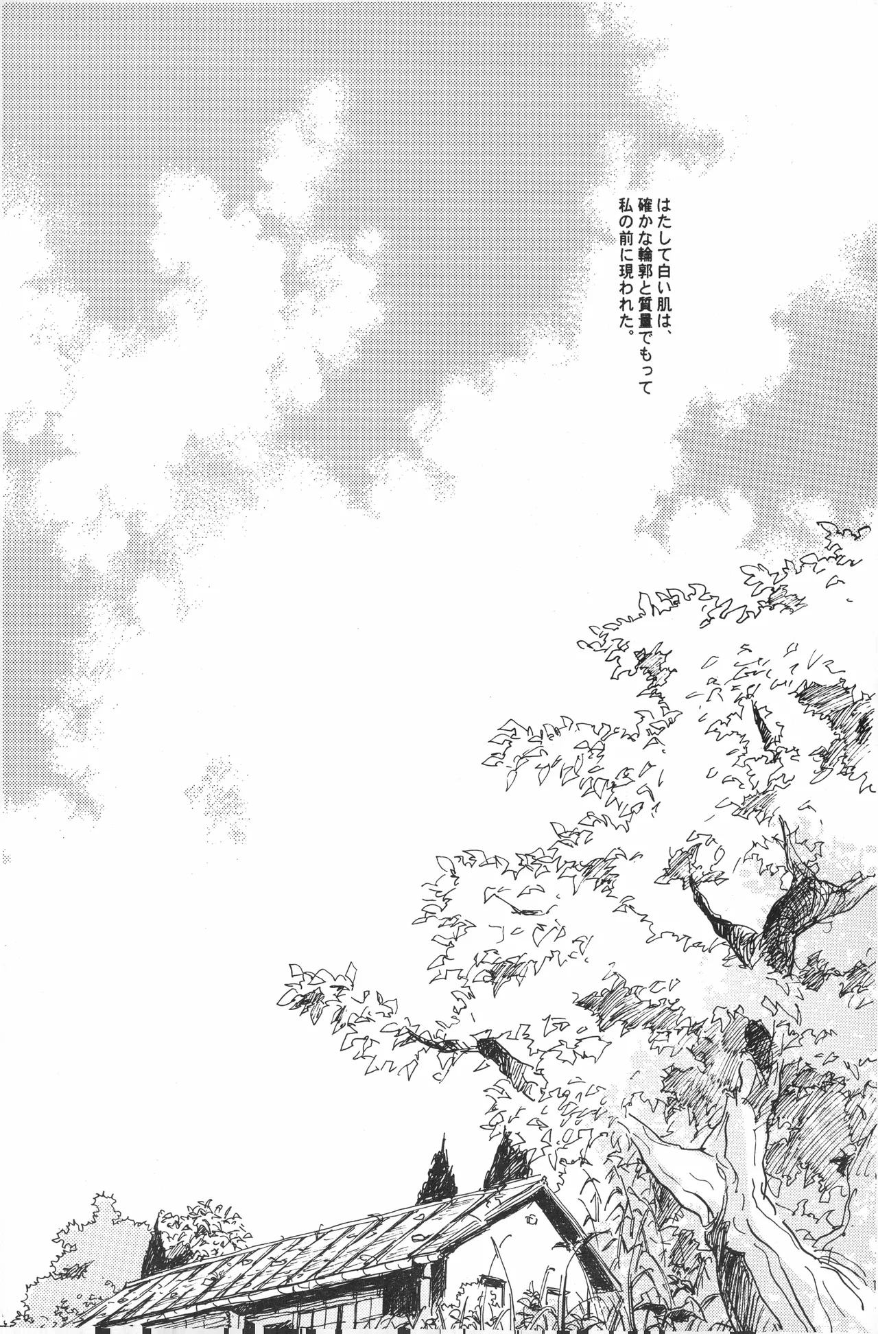 秀良子 numero di immagine  7