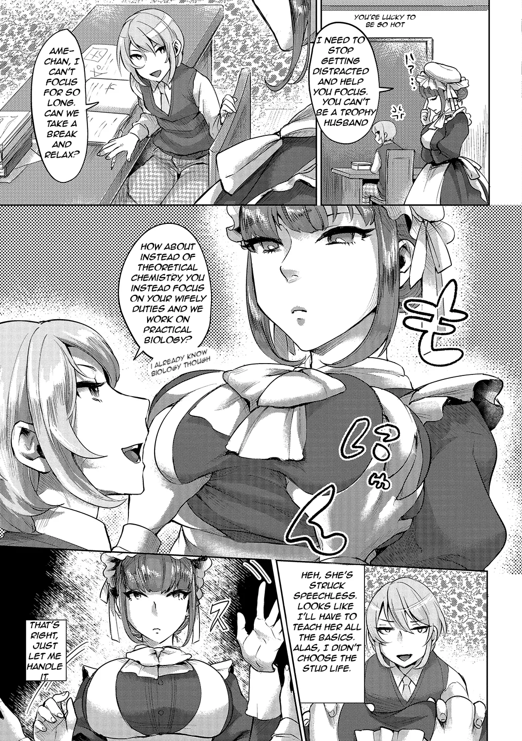 The Young Master’s Partner Maid [rewrite] 3eme image