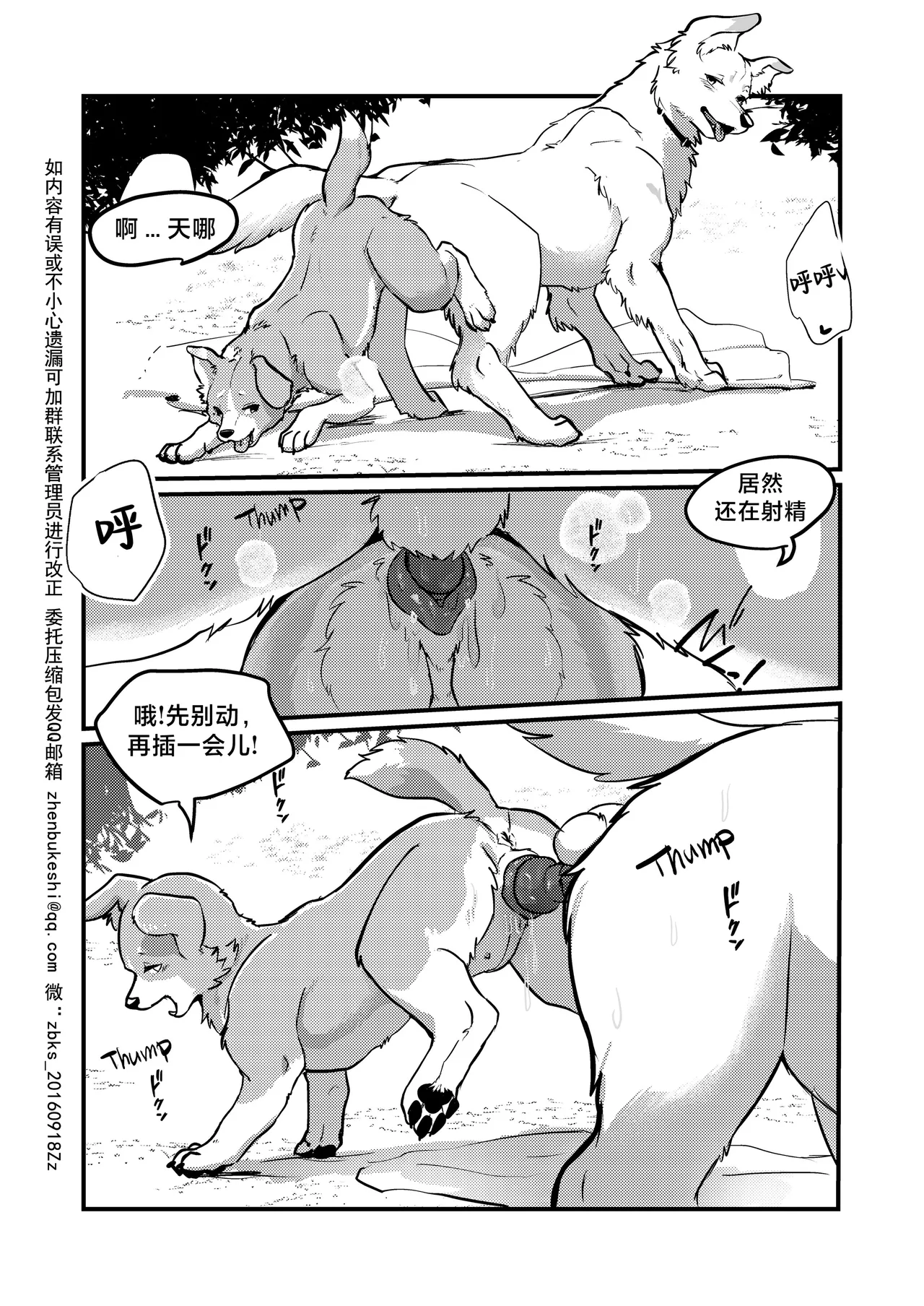 [Kon Juuichibai (Momou)] 既然我变成狗了，那不就得和狗H吗？！ [海豚之涌众筹汉化] [Digital] изображение № 18