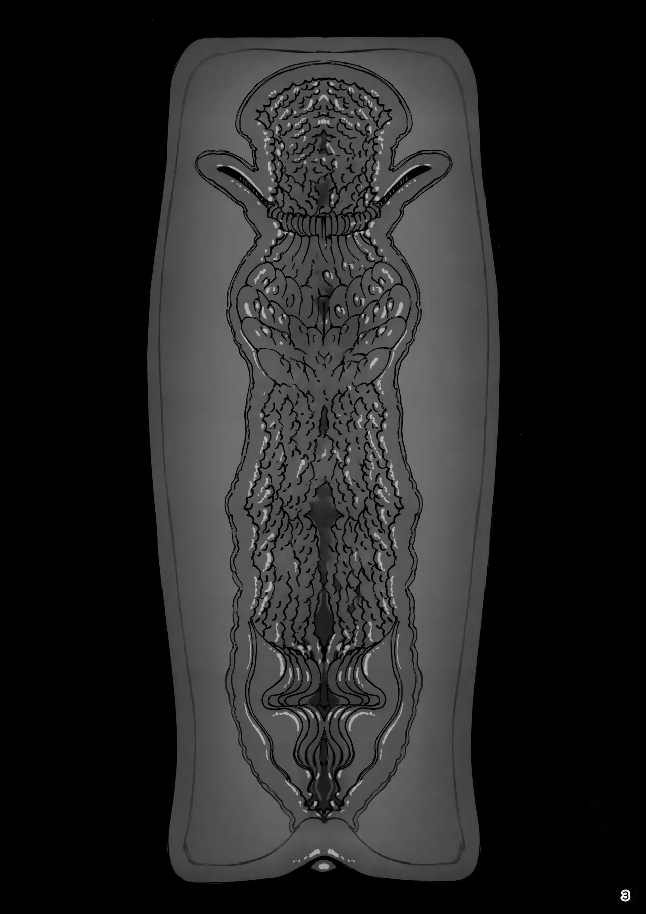 (C106) [Ranshi to Kimi to. (santa)] Taisetsu ni Ningen Toshite Sodate te Itadaita no ni Onaho de [Textless] Bildnummer 3