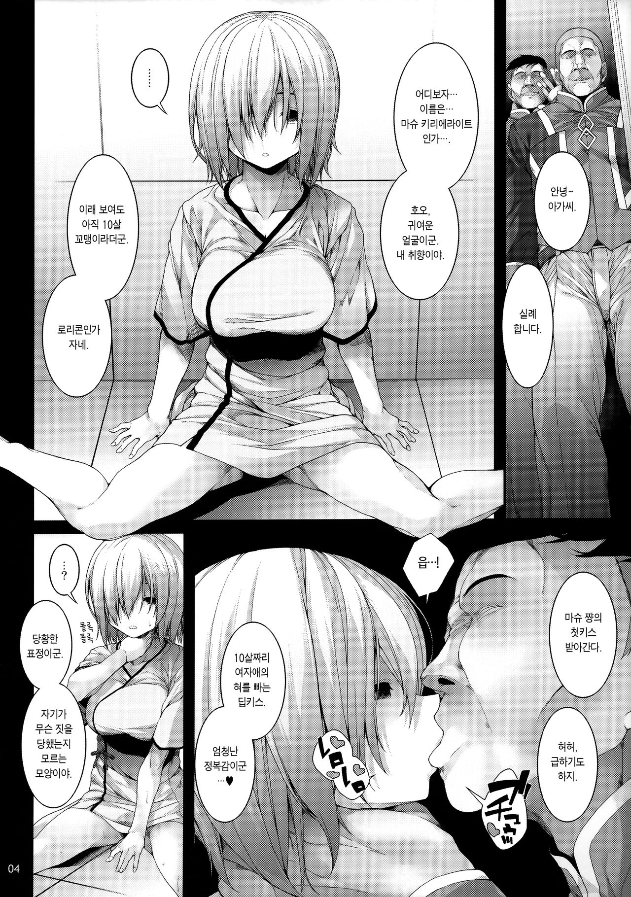 (COMIC1☆15) [waterwheel (Shirota Dai)] Slave Order (Fate/Grand Order) [Korean] [Team Edge] numero di immagine  5