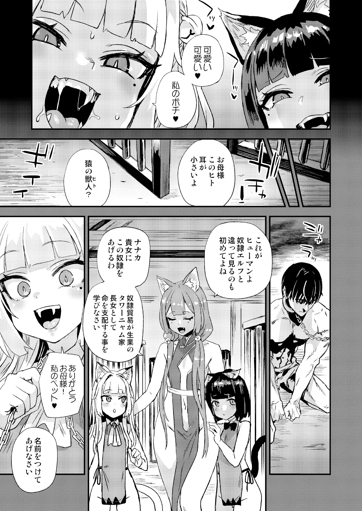 (C107) [Fatalpulse (朝凪)] 猫族娘はヒトを飼う。 [見本] numero di immagine  3