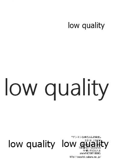 (C95) [悠々亭 (水上凛香)] ザンネンな姉ちゃんの秘密 图片编号 17