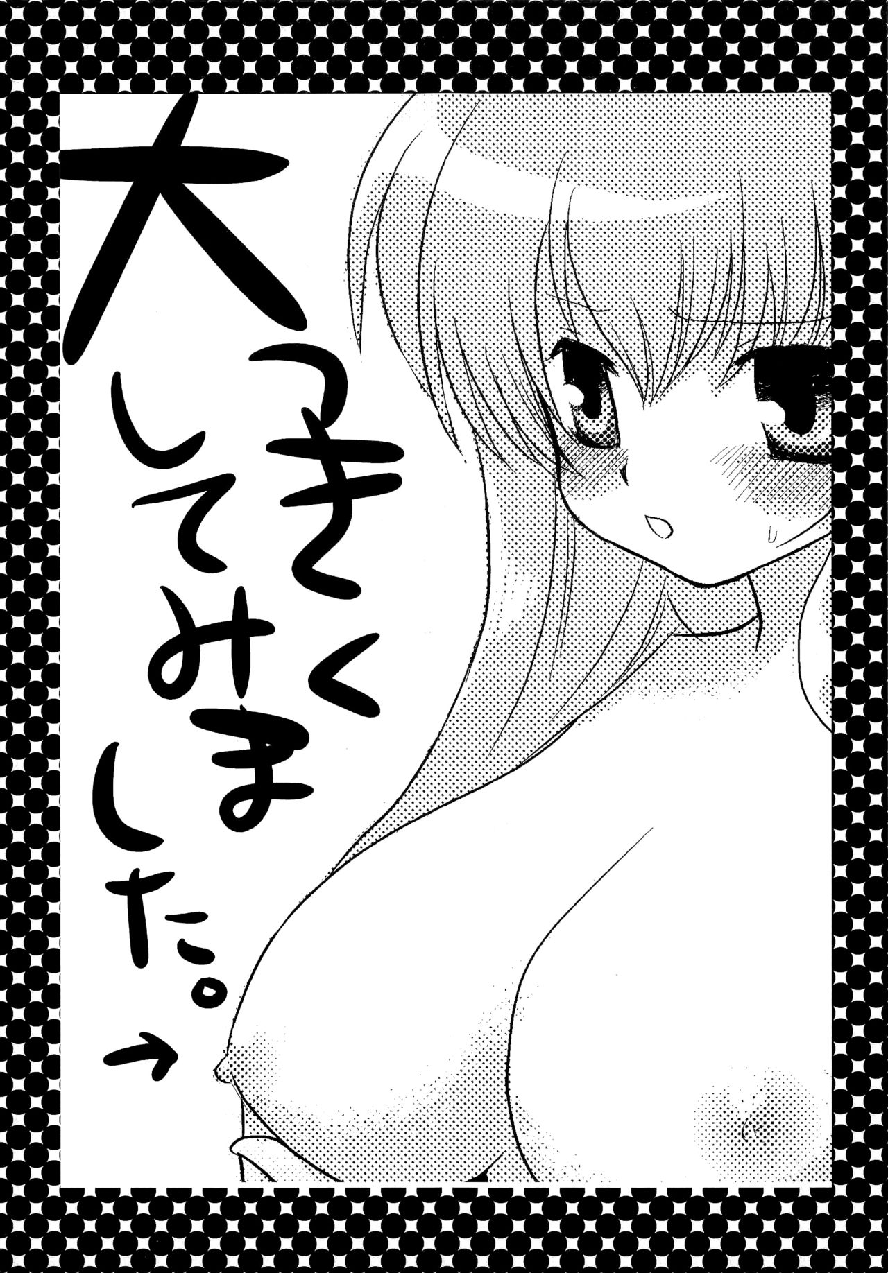 (SC35) [Nagiyamasugi (Nagiyama)] Tabatha & Sylphie (The Familiar of Zero) image number 16