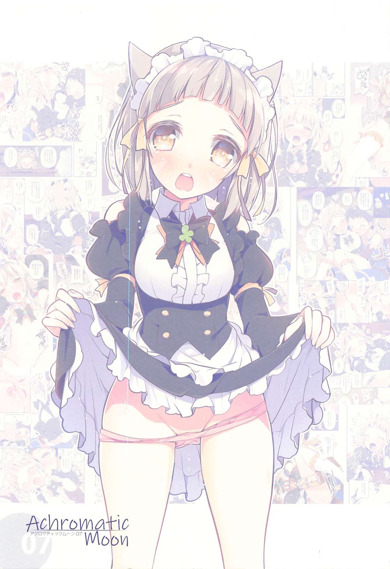 (C97) [Watsukiya (Watsuki Rumi, Yuuki Sei)] Achromatic Moon 07 (Xenoblade Chronicles 2) Bildnummer 2