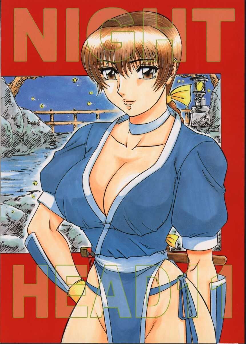 (CR27) [Circle Taihei-Tengoku (Aratamaru)] NIGHT HEAD 11 (Dead or Alive) image number 1