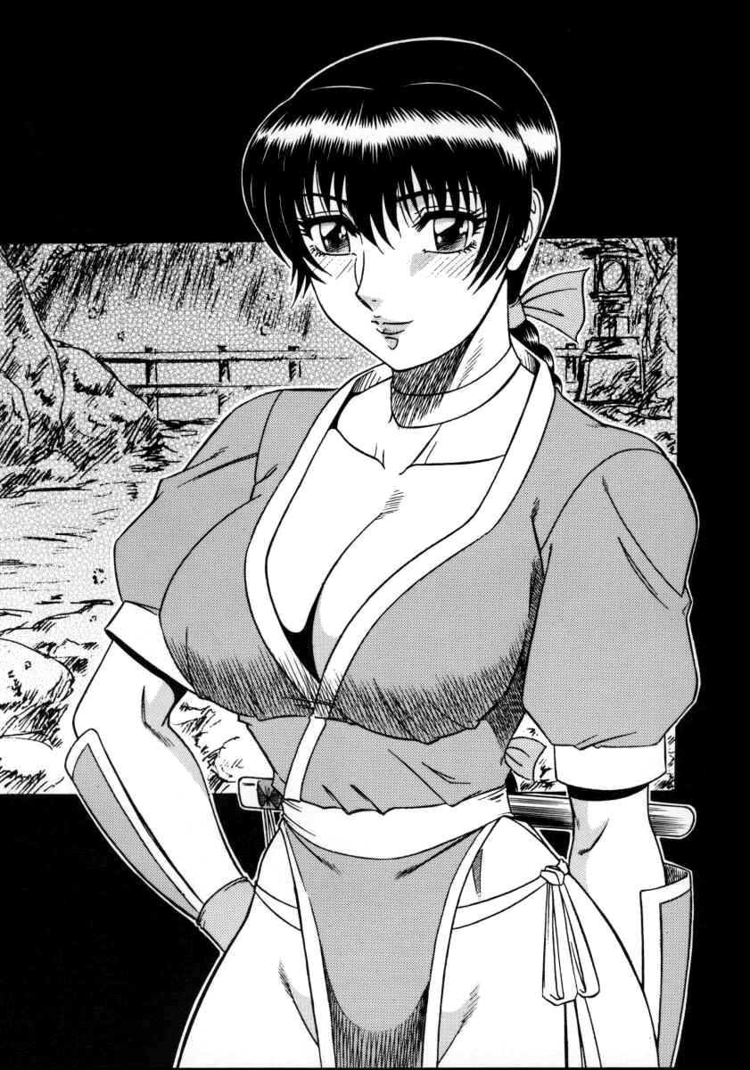 (CR27) [Circle Taihei-Tengoku (Aratamaru)] NIGHT HEAD 11 (Dead or Alive) image number 2