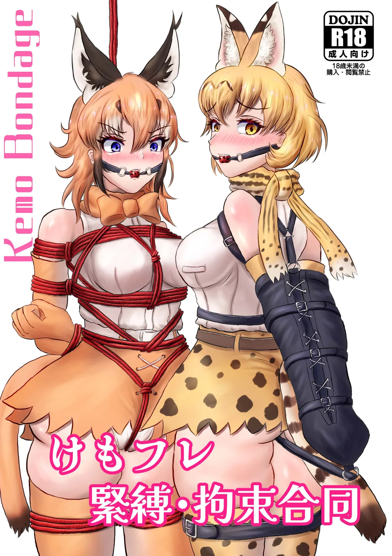 [Rorei Howittonee (Various)] Kemo Fri kinbaku kousoku goudou (Kemono Friends) [Digital] image number 1