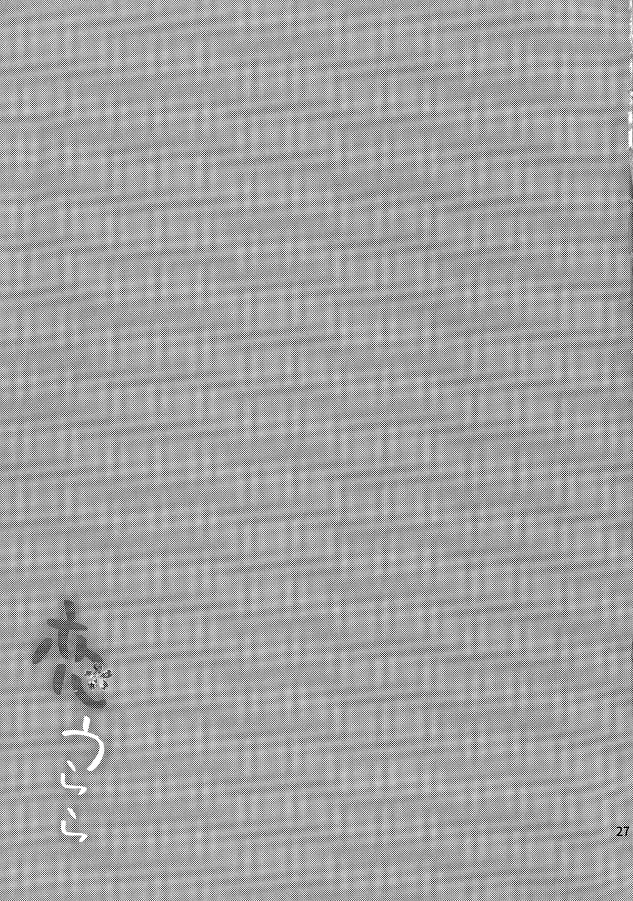 (HaruCC23) [Kasha (Umezo)] Koi Urara -Ge- | Intimo Amore (Inuyasha) [Italian] 이미지 번호 26