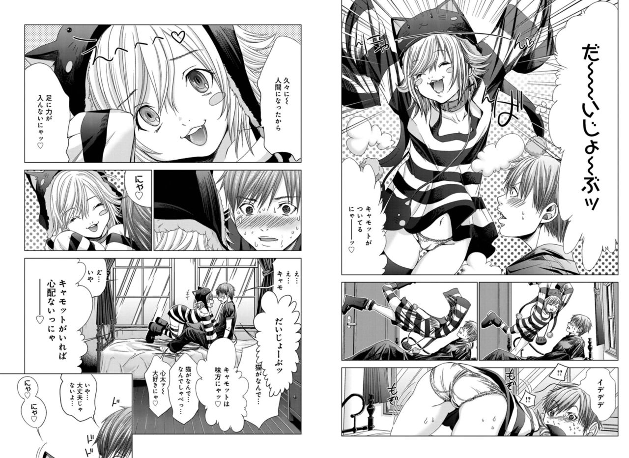 [Miyazaki Maya] Holy Knight ~Junketsu to Ai no Hazama de~ Vol. 4 画像番号 10