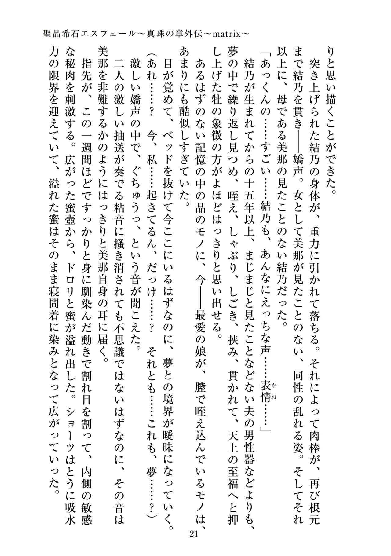 【ADU】聖晶希石エスフェール～真珠の章外伝～matrix～ 画像番号 23