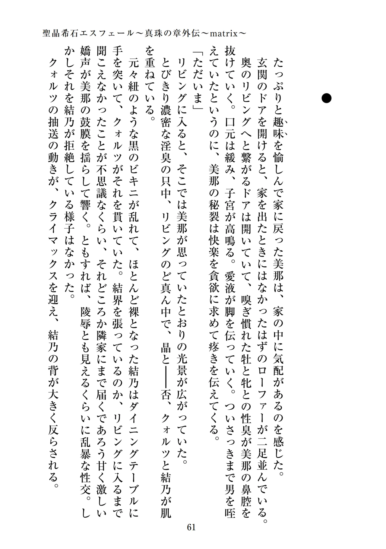 【ADU】聖晶希石エスフェール～真珠の章外伝～matrix～ 画像番号 63