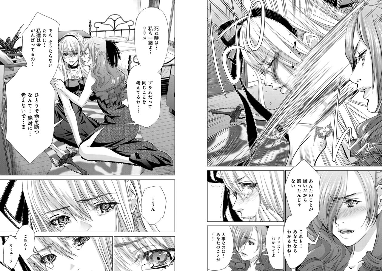 [Miyazaki Maya] Holy Knight ~Junketsu to Ai no Hazama de~ Vol. 7 이미지 번호 16