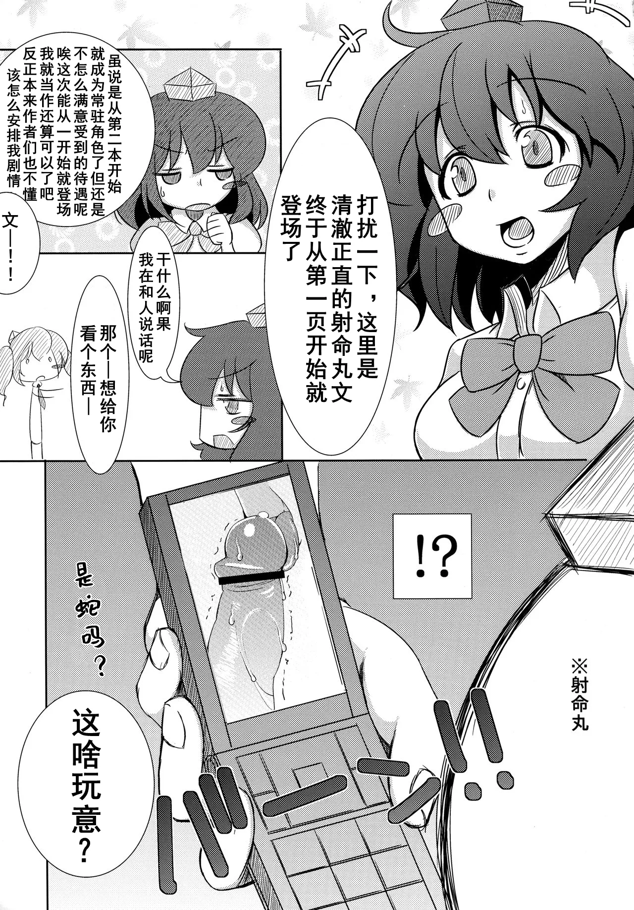 (C81) [Ishi wa Hakanaki Ame no Shirabe ni (Takumi Rohan, dadada)] Rokudemonai Photograph (Touhou Project) [Chinese] [Dawn个人汉化] imagen número 4