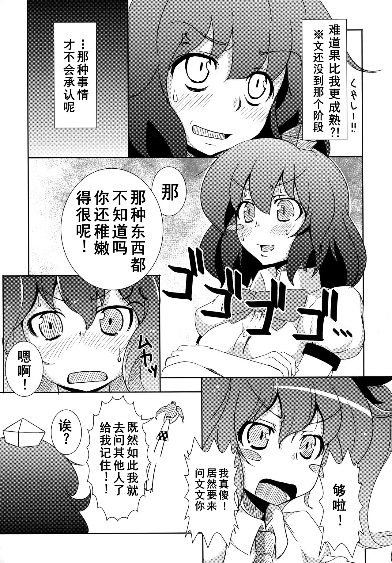 (C81) [Ishi wa Hakanaki Ame no Shirabe ni (Takumi Rohan, dadada)] Rokudemonai Photograph (Touhou Project) [Chinese] [Dawn个人汉化] imagen número 6