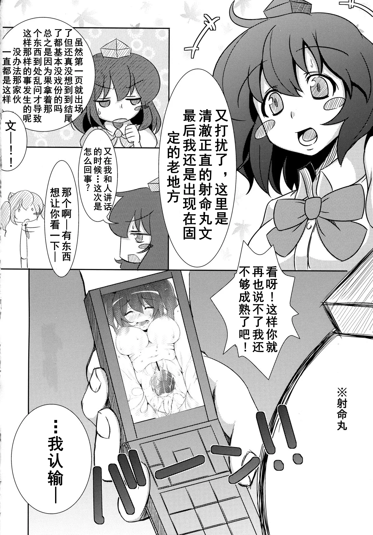 (C81) [Ishi wa Hakanaki Ame no Shirabe ni (Takumi Rohan, dadada)] Rokudemonai Photograph (Touhou Project) [Chinese] [Dawn个人汉化] imagen número 19