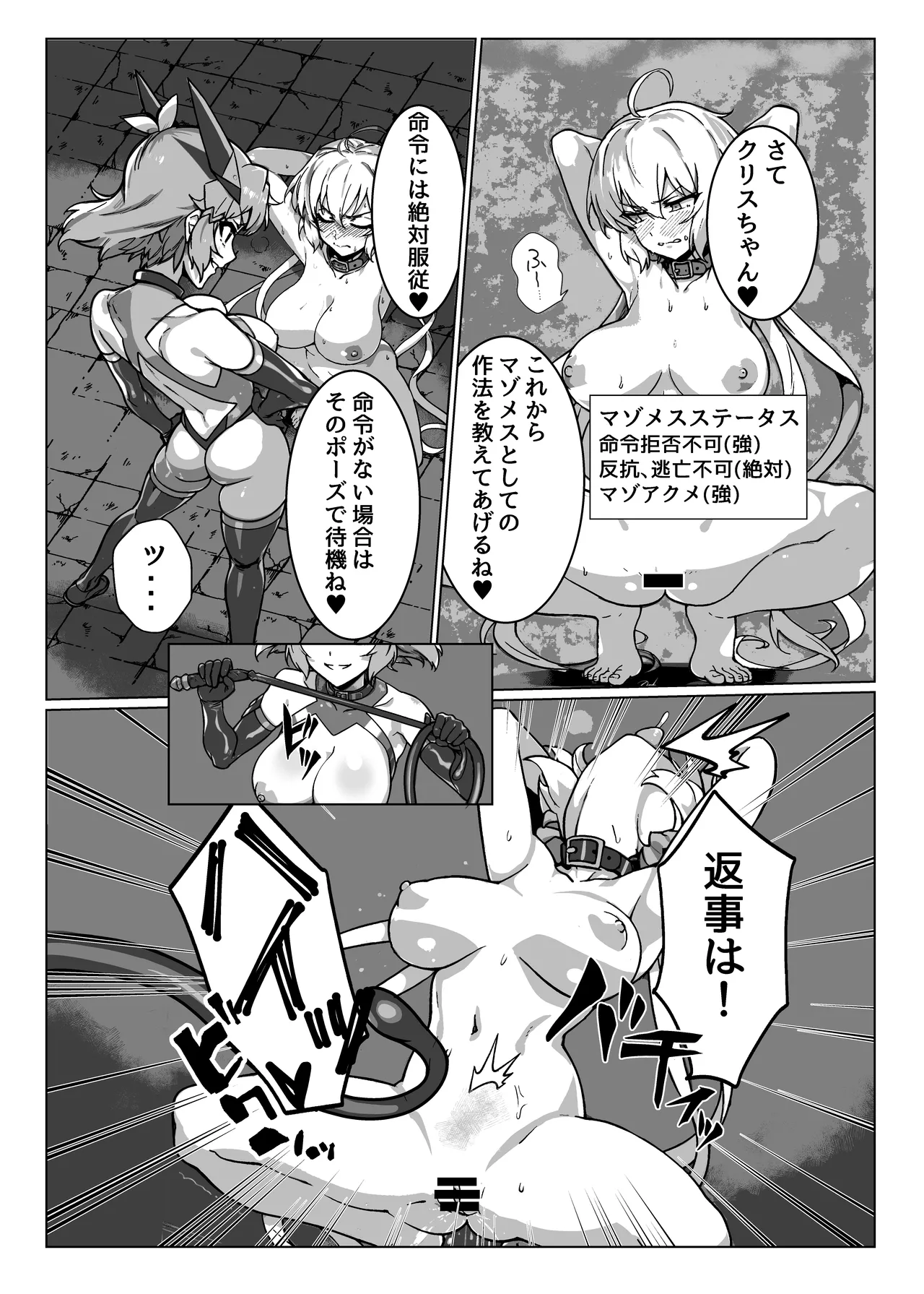 [モノクロ犬] 奴隷戦姫絶頂 image number 12