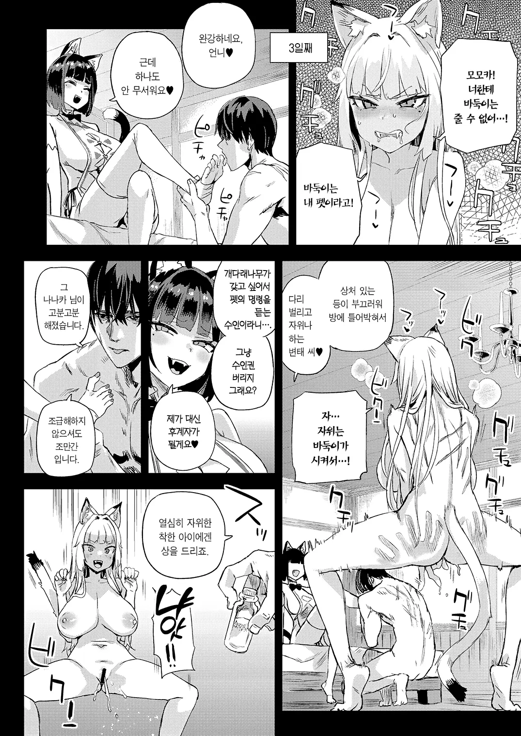 [Fatalpulse (Asanagi)] Nekozoku Musume wa Ningen o Kau. - CAT GIRLS KEEP A HUMAN | 묘족녀는 인간을 기른다. [Korean] [Team Edge] [Digital] 图片编号 29