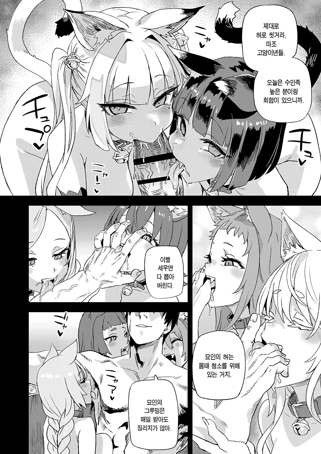 [Fatalpulse (Asanagi)] Nekozoku Musume wa Ningen o Kau. - CAT GIRLS KEEP A HUMAN | 묘족녀는 인간을 기른다. [Korean] [Team Edge] [Digital] 图片编号 43