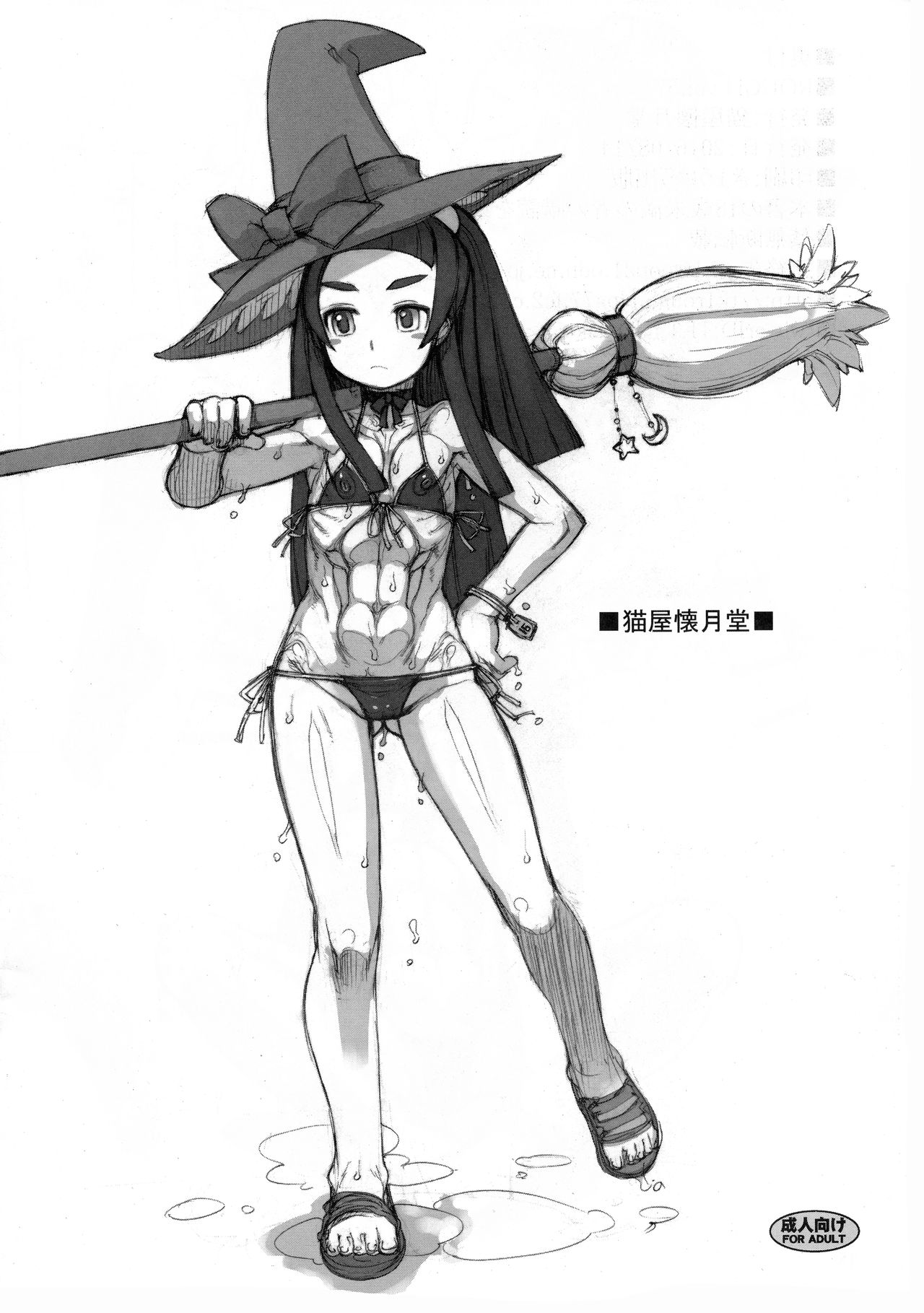 (C90) [Nekoya Kaigetsudou (T.K-1)] ROUGH vol.57+ изображение № 2