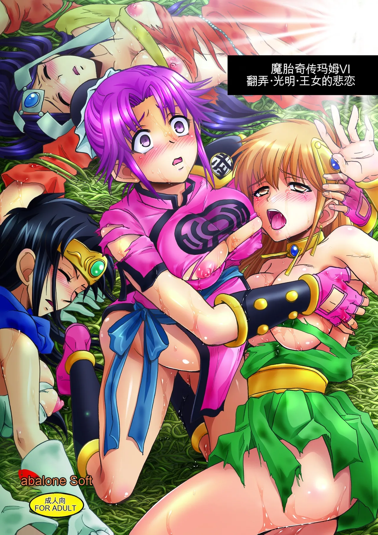 [Abalone Soft (Modaetei Imojirou)]  Mataikiden Maam VI ~Honrou. Koumyou. Oujo no Hiren~ (Dragon Quest Dai no Daibouken) [Chinese] [Digital] première image