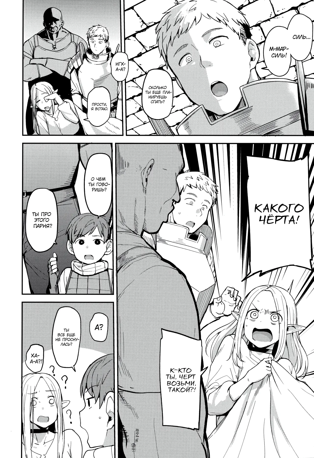 (C106) [North70 (Nanao Yukiji)] Chin Ochi Donkusa Elf (Dungeon Meshi) [Russian] [Turb1nka] 图片编号 3